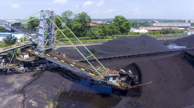 Bukit Asam Cetak Laba Bersih Rp2,03 T di Semester I 2024