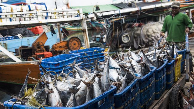 RI Masih Impor Ikan di Tengah Wacana Produksi Susu Buat Makan Free of charge