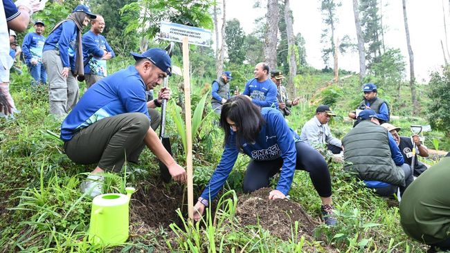 Pertamina Hijaukan Besakih, Tanam 200 Pohon untuk Alam dan Masyarakat