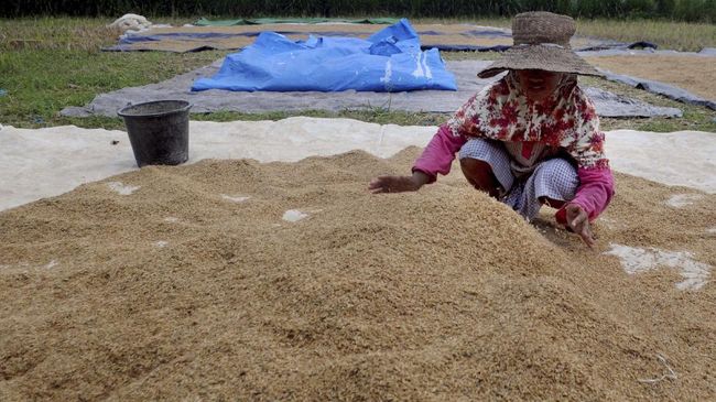 Kementan Ungkap Bukti Pompanisasi Sukses Jaga Produksi Padi RI