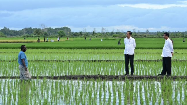 Cetak Sawah Kementan Tak Rugikan Masyarakat