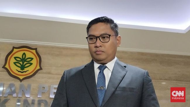 Wamentan Sudaryono Ungkap Alasan RI Harus Cetak Sawah Baru