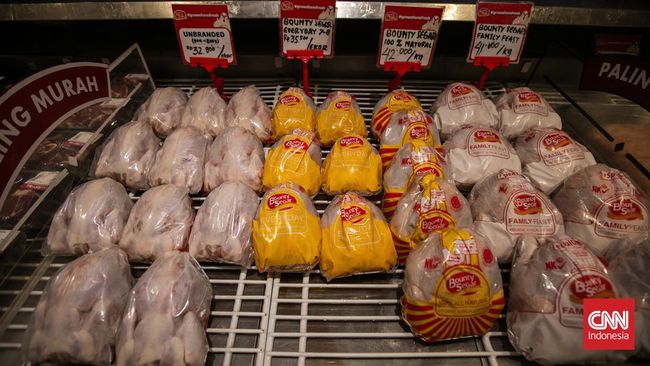 Transmart Complete Day Sale, Ayam Broiler Dijual Cuma Rp28 Ribu In keeping with Ekor