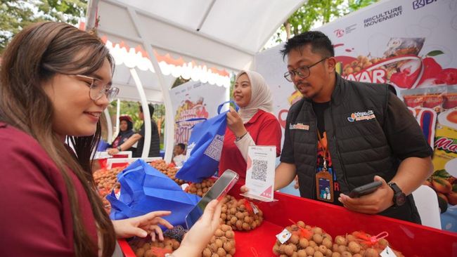 BRI Angkat Potensi Klaster Buah Kelengkeng di Tuban