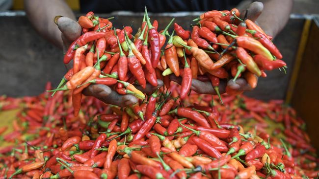 Harga Ayam dan Cabai Rawit Kian Menggigit Awal Pekan Ini