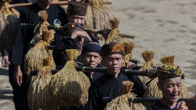 Ritual Kasepuhan Adat Cisungsang Jaga Ketahanan Pangan