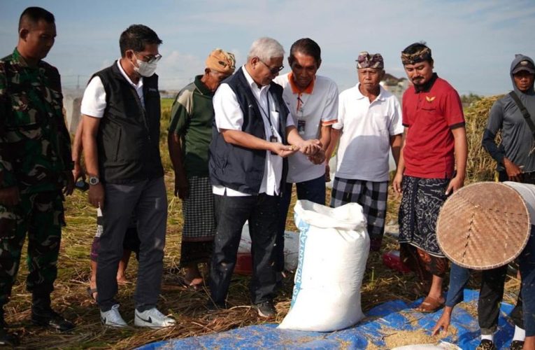 Jelang Ramadan, Serapan Gabah dan Beras Bulog Capai 140 Ribu Ton