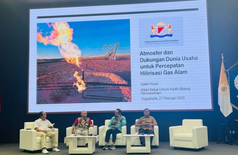 Saleh Husin Ungkap 4 Ganjalan Industri Hilirisasi Gasoline RI