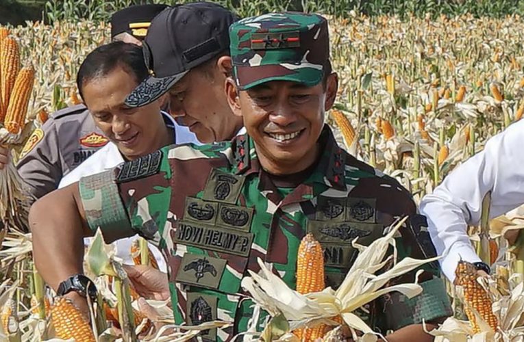 Bulog Janji Tuntaskan Perintah Serap 3 Juta Ton Gabah hingga April