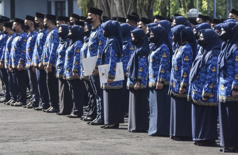 Ini 4 Jenis Jabatan PNS Lengkap Golongan dan Pangkatnya