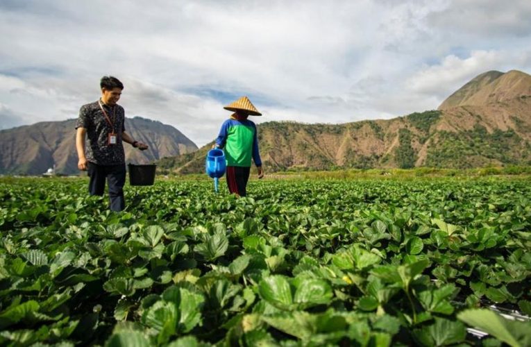 BRI Salurkan KUR Rp27,72 Triliun dalam 2 Bulan, Wujud Dukung UMKM