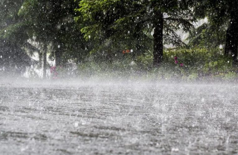 Kemensos Siapkan Bantuan Banjir Rp2,09 M Buat Jakarta hingga Bekasi