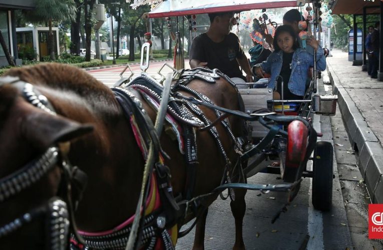 Menhub Sebut Pemda Jabar Usul Delman, Becak Cs Dilarang Saat Lebaran