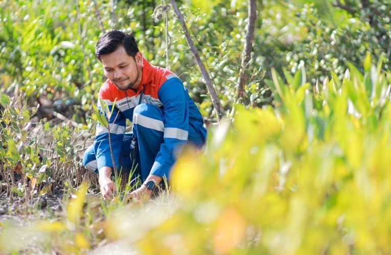 Pertamina Galang Hutan Lestari, Dukung NZE 2060 dan Ketahanan Pangan