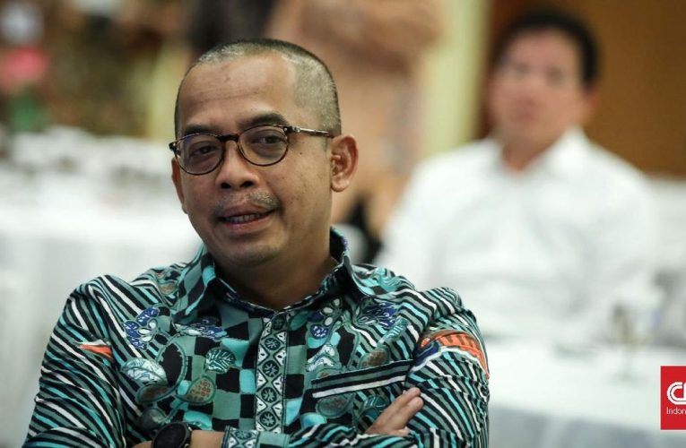 Dirjen Pajak Kejar Belasan Masalah Coretax Beres Juli 2025