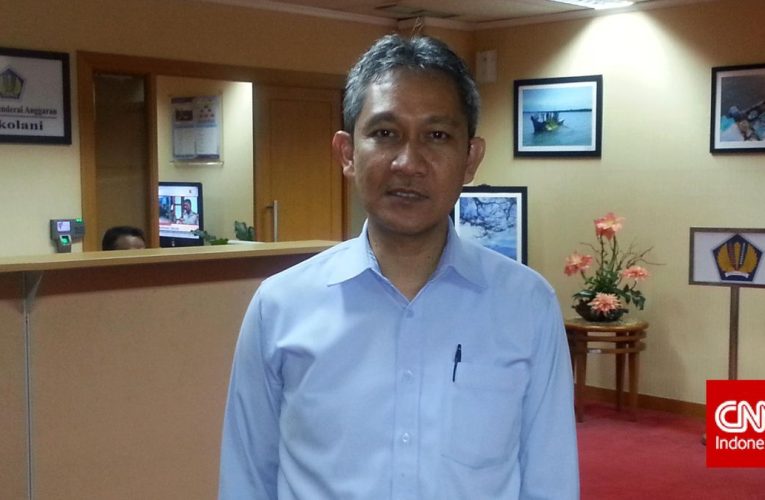 Bea Cukai Ungkap Nilai Impor Naik, tapi Bea Masuk Turun