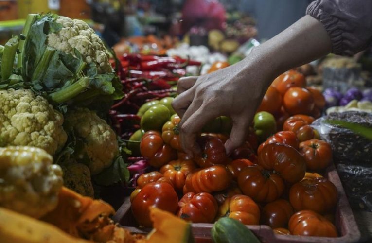 RI Inflasi 1,17 Persen April 2025 Imbas Tarif Listrik