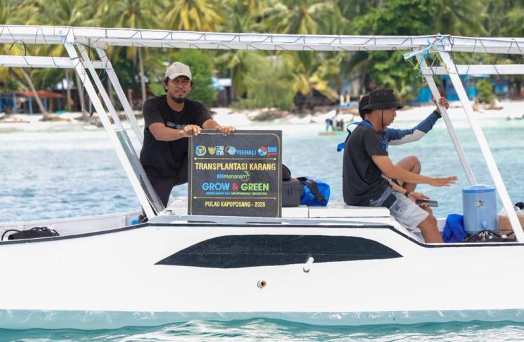 BRI Menanam Develop & Inexperienced Jaga Ekosistem Laut di Pulau Kapoposang