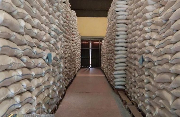 Cara Bulog Menjaga Kualitas Beras di Tengah Serapan yang Membludak