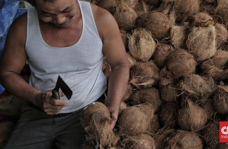 Amran Mau Genjot Ekspor Kelapa 3 Kali Lipat Meski Harga Masih Mahal