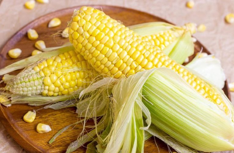 Pemerintah Gelontorkan Rp40 M untuk Riset Jagung hingga Bawang Putih