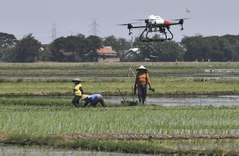 Daftar 3 Lapangan Usaha yang Paling Banyak Ciptakan Pekerjaan di RI