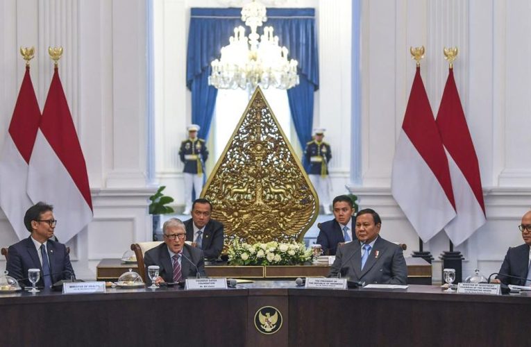 Kala Budi Gunadi dan Rosan Roeslani Rayu Invoice Gates Masuk Danantara