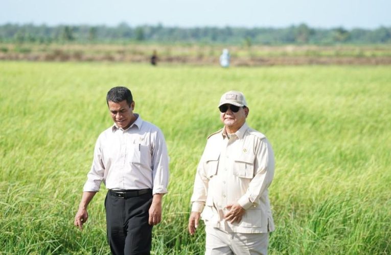 Cadangan Beras Bulog Capai 4 Juta Ton, Mentan Terima Kasih ke Petani