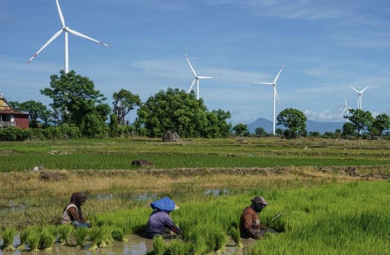 Sektor Mana Terbanyak Ciptakan Kerjaan Bagi 145,77 Juta Orang RI?