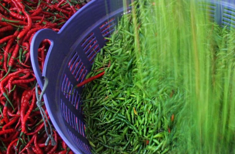 Duh, Pedas! Harga Cabai Ngegas Nyaris 19 Persen Sambut Iduladha