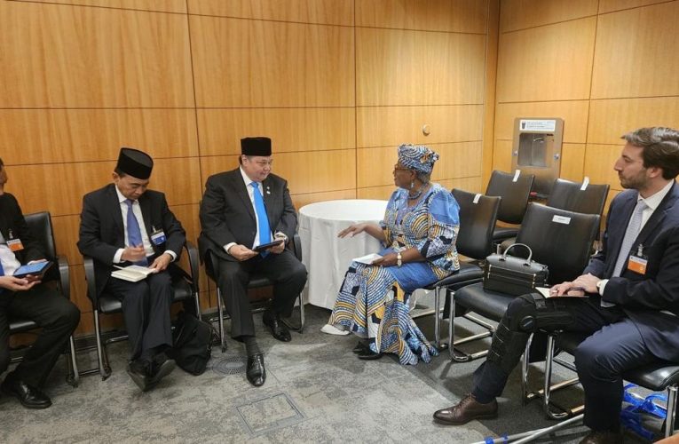 Temui Dirjen WTO, Menko Airlangga Tekankan Multilateralisme yang Adil
