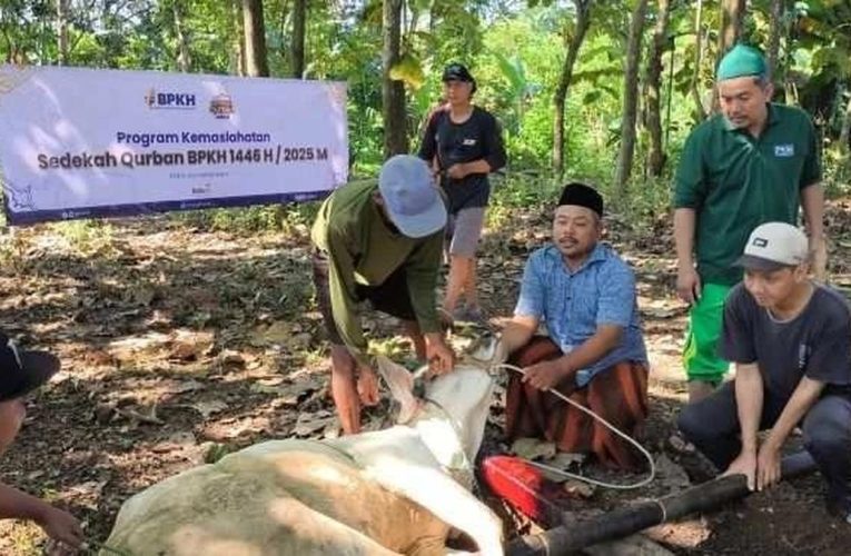 Ratusan Kurban BPKH Jangkau Pelosok Negeri