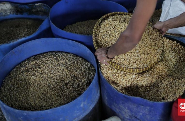 RI Siapkan Produksi Kedelai Lokal hingga 10 Ribu Ton