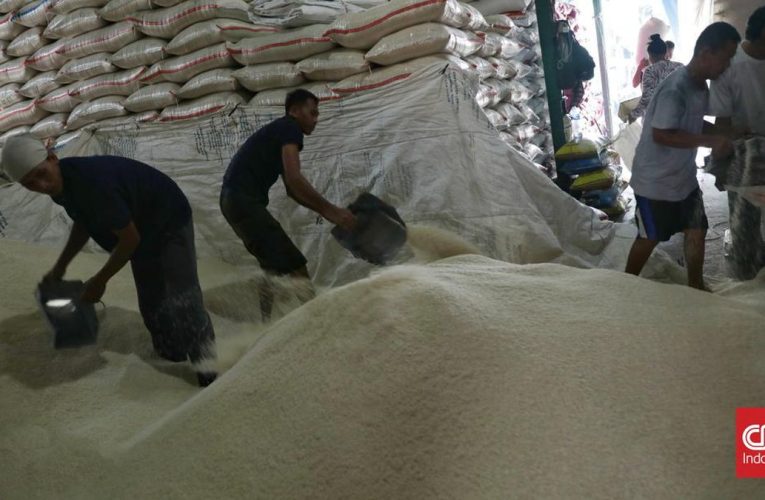 Indonesia Kirim Bantuan 10 Ton Beras ke Palestina Akhir Bulan Ini