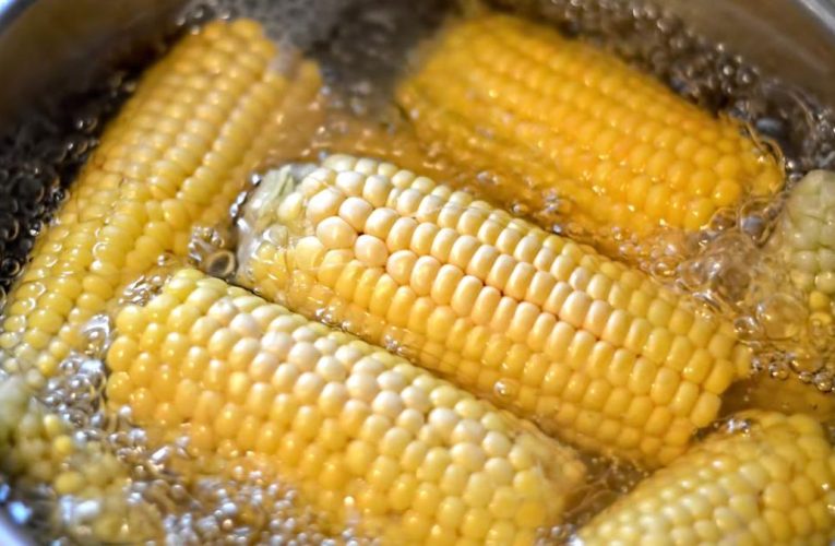Pemerintah Siapkan Rp6 T Buat Serap 1 Juta Ton Jagung dari Petani