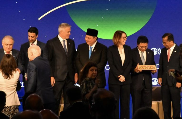 Airlangga Serahkan Preliminary Memorandum Aksesi RI di MCM OECD 2025