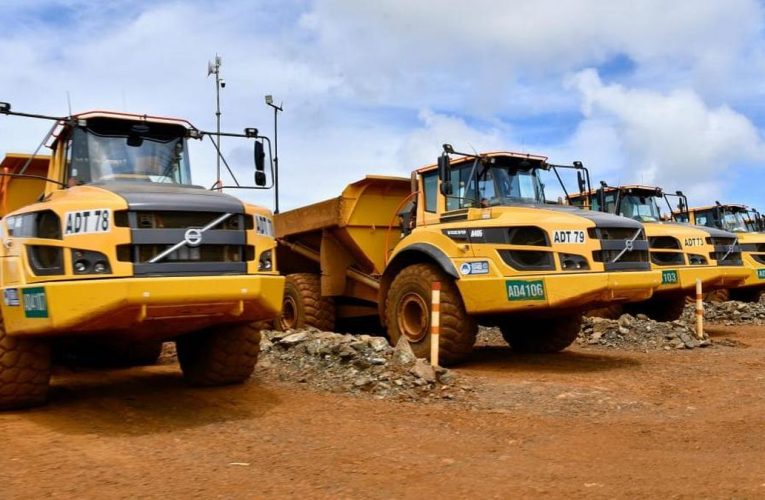 APNI Buka Suara soal Pencabutan Izin Tambang Nikel Raja Ampat