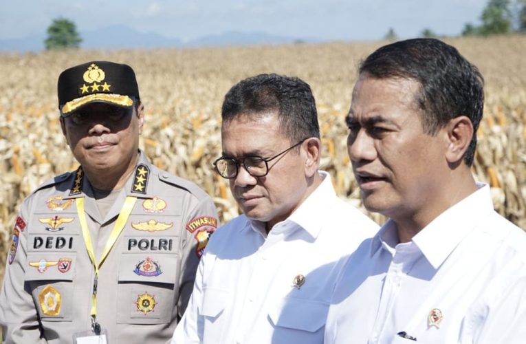 Mentan Tegaskan Proses Hukum Manipulasi Information Beras Tetap Lanjut