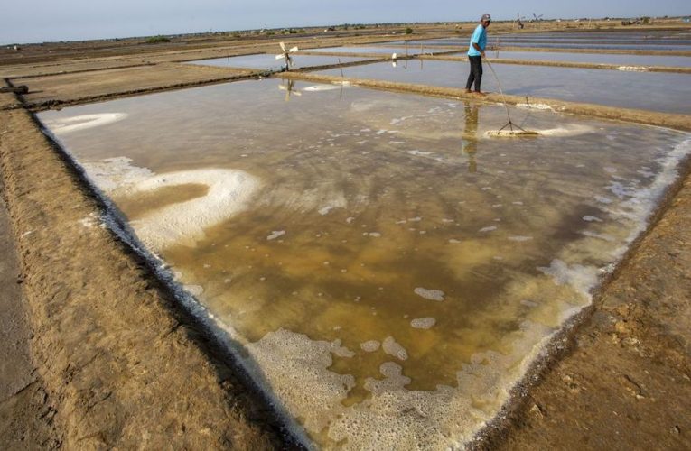 Pemerintah Akan Bangun Tambak Garam Raksasa 10 Ribu Ha di NTT
