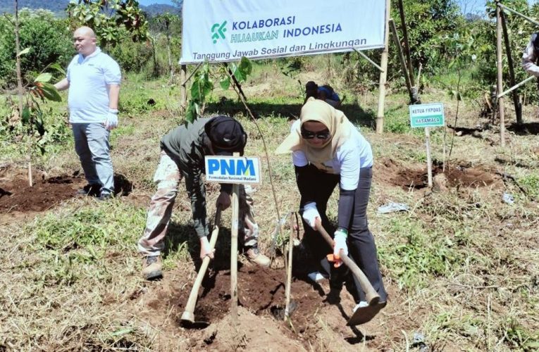 PNM Indonesia Meluncurkan Keberlanjutan Hutan Akhir dan Terumbu Karang