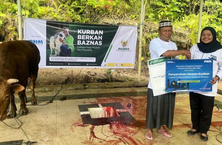 PNM Gandeng Baznas Salurkan Hewan Kurban untuk Masyarakat 3T
