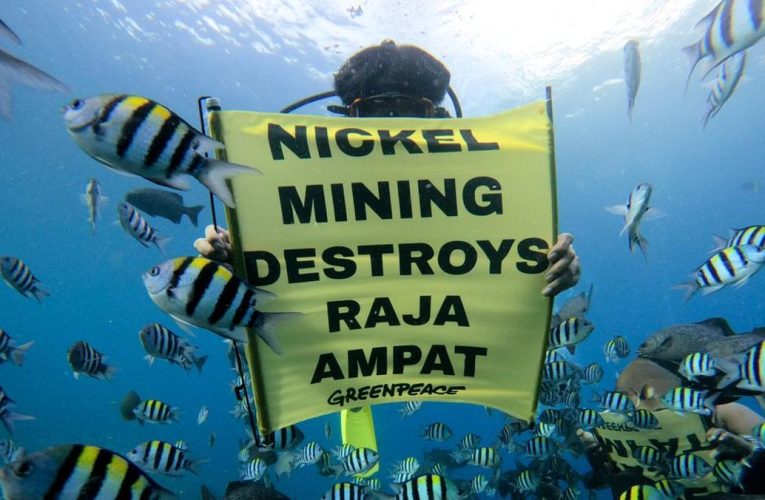 Daftar 5 Perusahaan Dapat Izin Keruk Tambang di Kawasan Raja Ampat