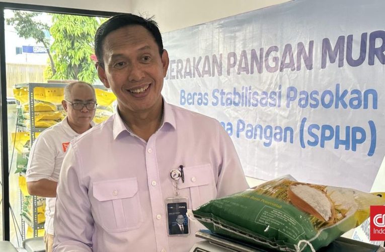 Ahmad Rizal Ajukan Pengunduran Diri ke TNI Usai Jadi Dirut Bulog