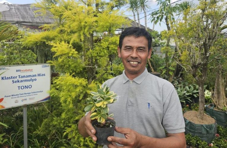 Kisah Usaha Tanaman Hias yang Bertahan Didukung Klasterkuhidupku BRI
