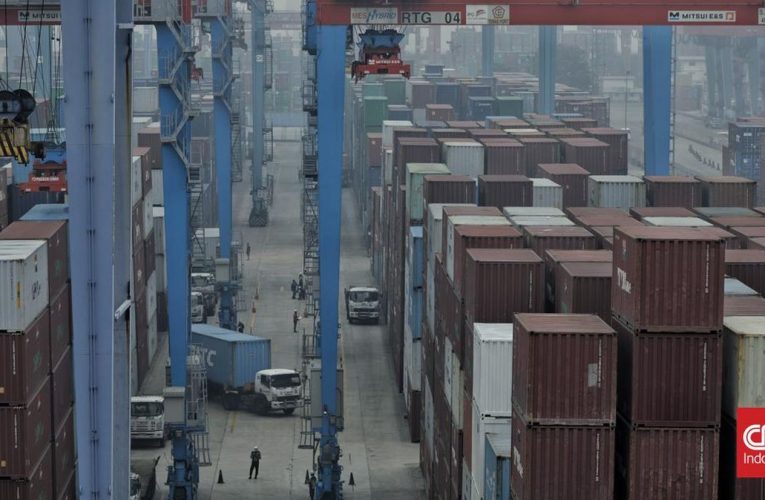 Pengamat Sebut Tarif 19 Persen AS untuk RI Sarat Tekanan Sepihak
