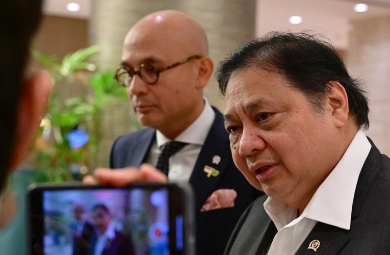 Menko Airlangga Sebut BRICS Berkomitmen Perkuat Multilateralisme