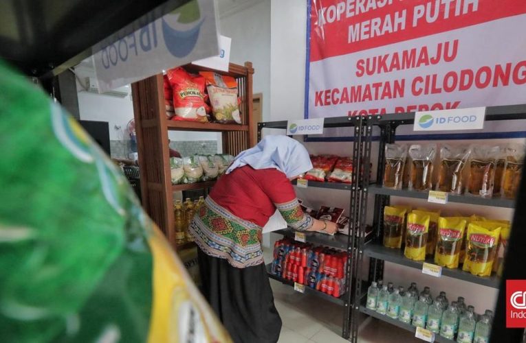 Persiapan Koperasi Desa Merah Putih Jelang Diluncurkan Prabowo