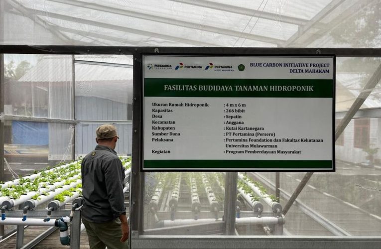Pertamina Basis Lestarikan Hutan, Dorong Kemandirian Ekonomi Desa