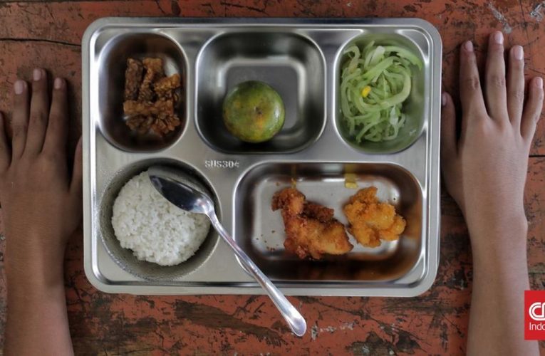 Bos Badan Gizi Ungkap Alasan Meals Tray MBG Pakai Produk Impor