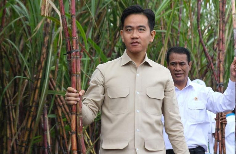 Tahun Depan Harus Swasembada Gula Konsumsi